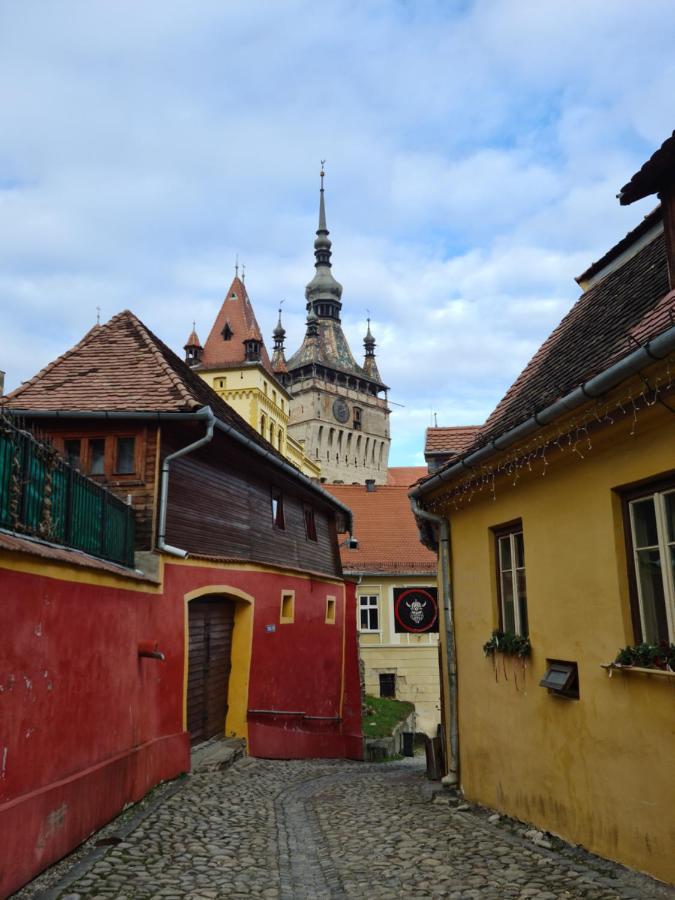 Stradela Cetatii Apartment Sighișoara Zewnętrze zdjęcie