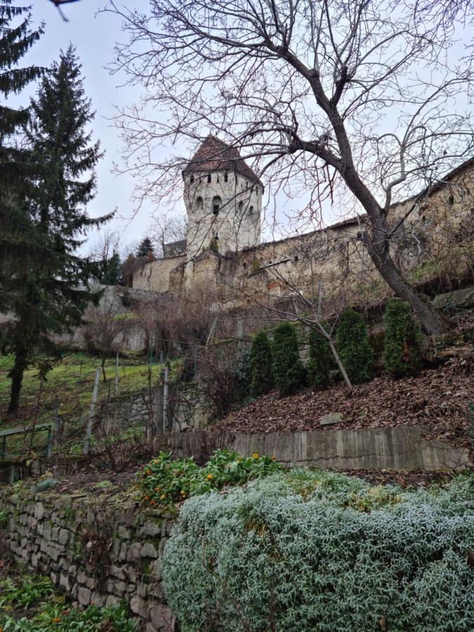 Stradela Cetatii Apartment Sighișoara Zewnętrze zdjęcie